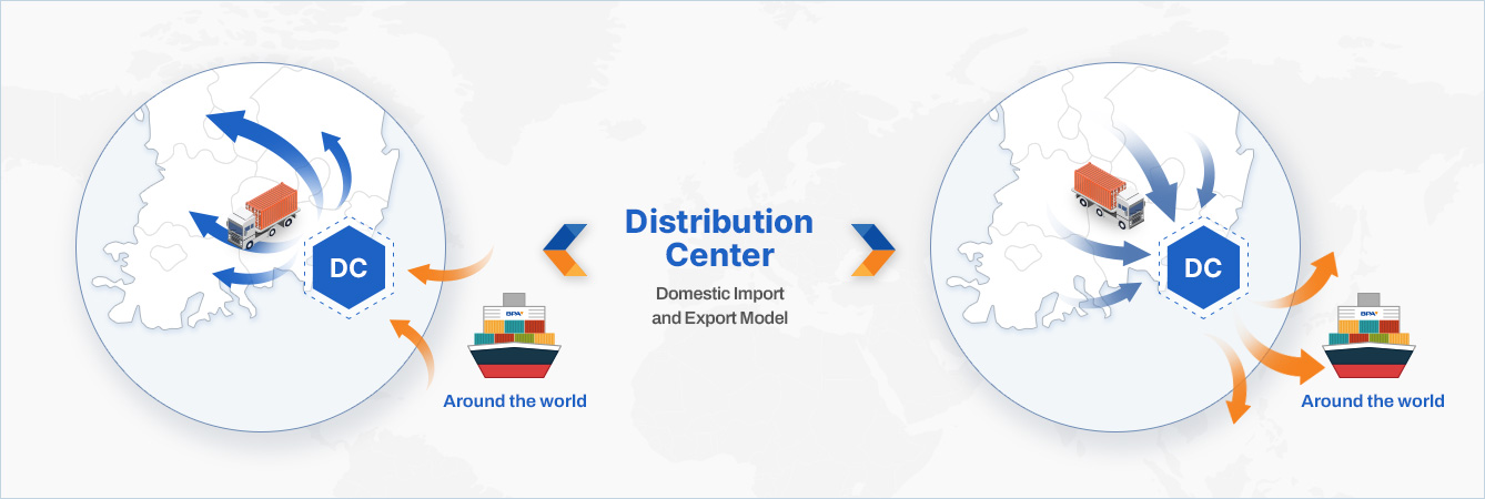 Domestic Import and Export Model