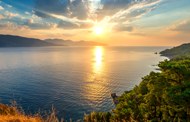 Declaration of ESG Management