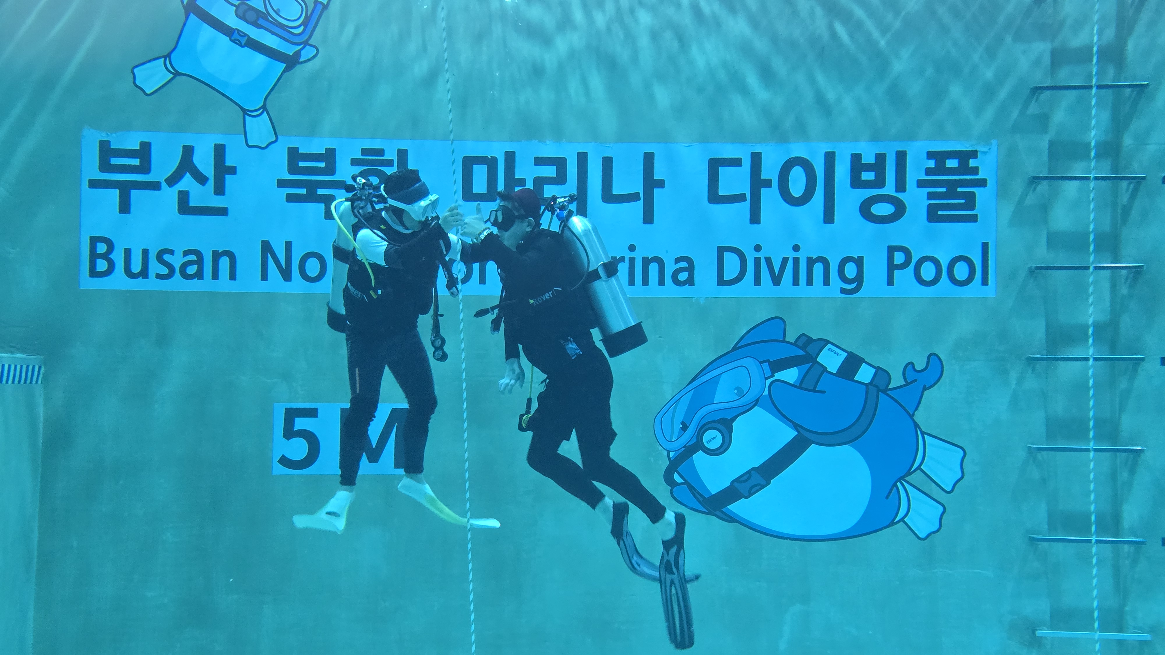 다함께 물 속 한걸음, 지역 장애인 대상 다이빙 체험 진행